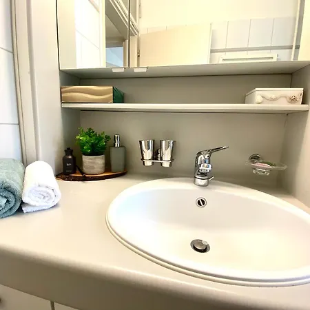 Modern Eingerichtete Stadtwohnung In Wollishofen Appartamento