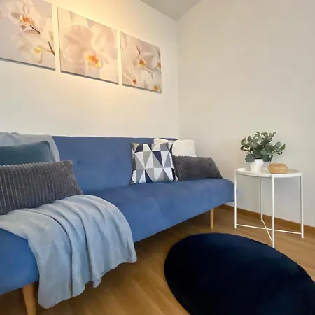 Modern Eingerichtete Stadtwohnung In Wollishofen Daire *